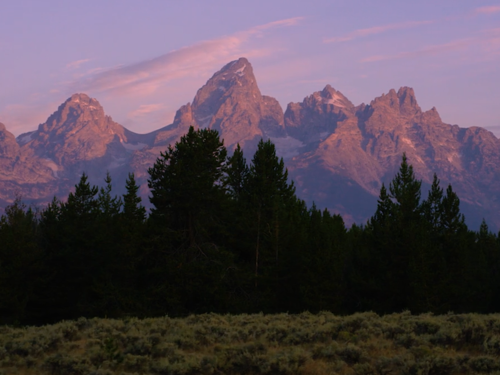 Grant Tetons in the background with pine trees and sagebrush