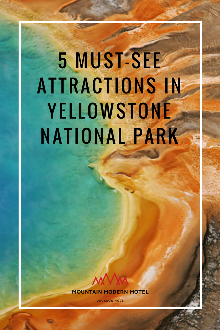 Blog 5 Must-See Attractions in Yellowstone National Park