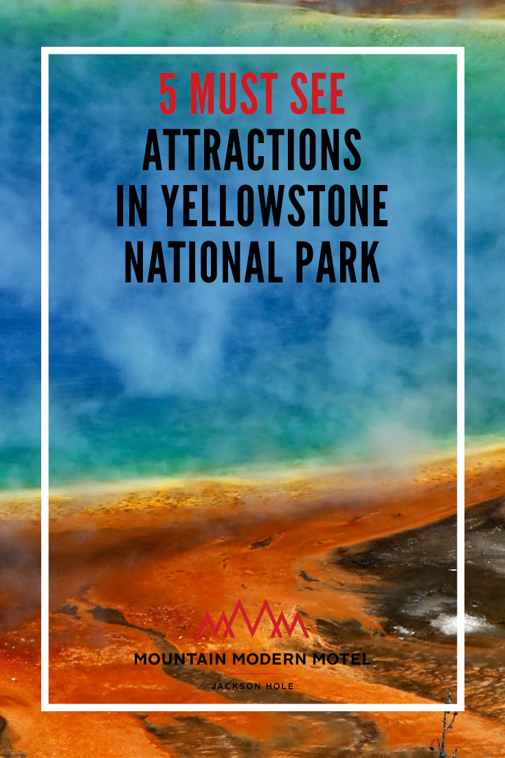Blog of 5 Must See Attractions in Yellowstone National Park