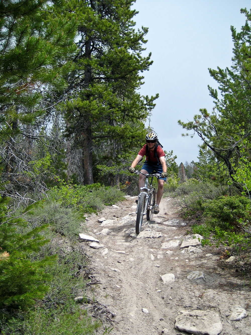 Mountain biking through the trees down a mountain trail with rocks