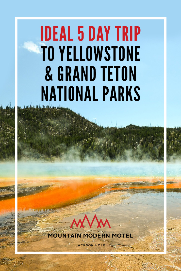 Blog Ideal 5 Day Trip to Yellowstone & Grant Teton National Parks