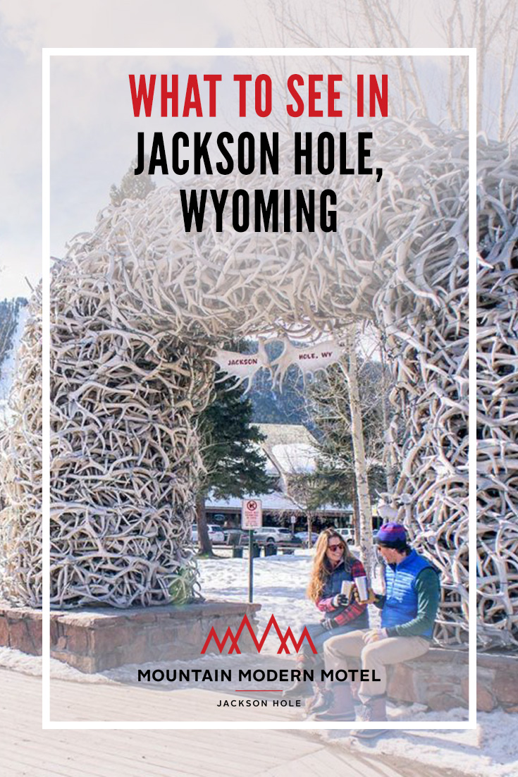Blog What to See in Jackson Hole, Wyoming