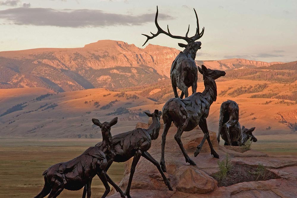 Bronze elk sculpture at National Museum of Wildlife Art Jackson WY