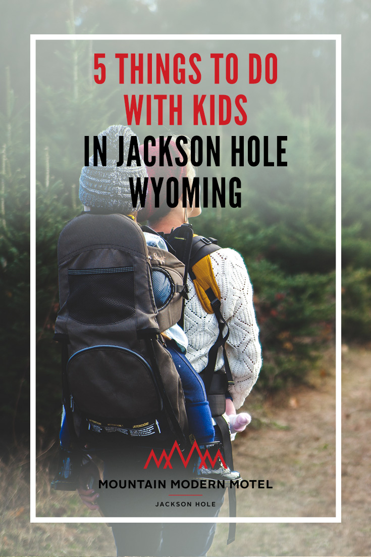 Blog 5 Things to Do with Kids in Jackson Hole Wyoming