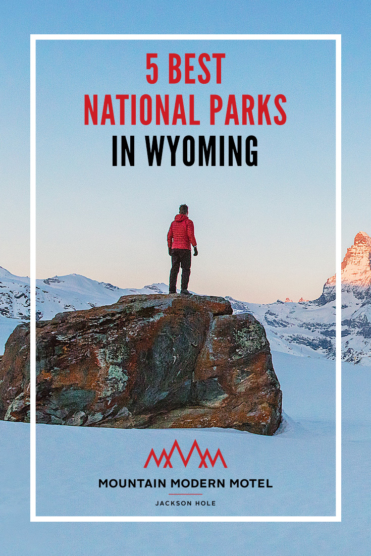 Blog 5 Best National Parks in Wyoming