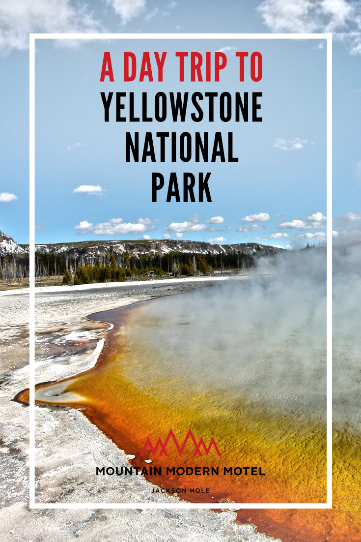 Blog A Day Trip to Yellowstone National Park