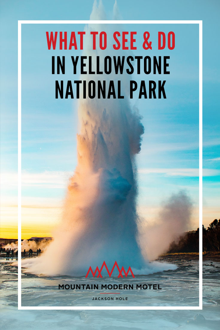 Blog What to See & Do in Yellowstone National Park
