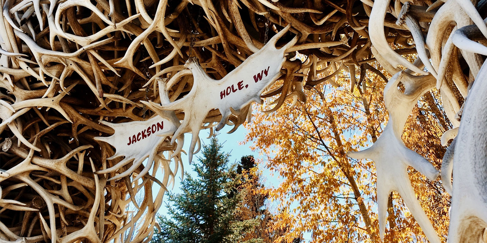 Jackson Hole Antler Arches In Fall