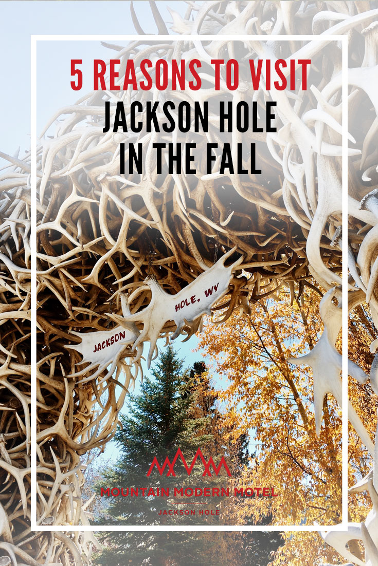 Blog 5 Reasons to Visit Jackson Hole in the Fall