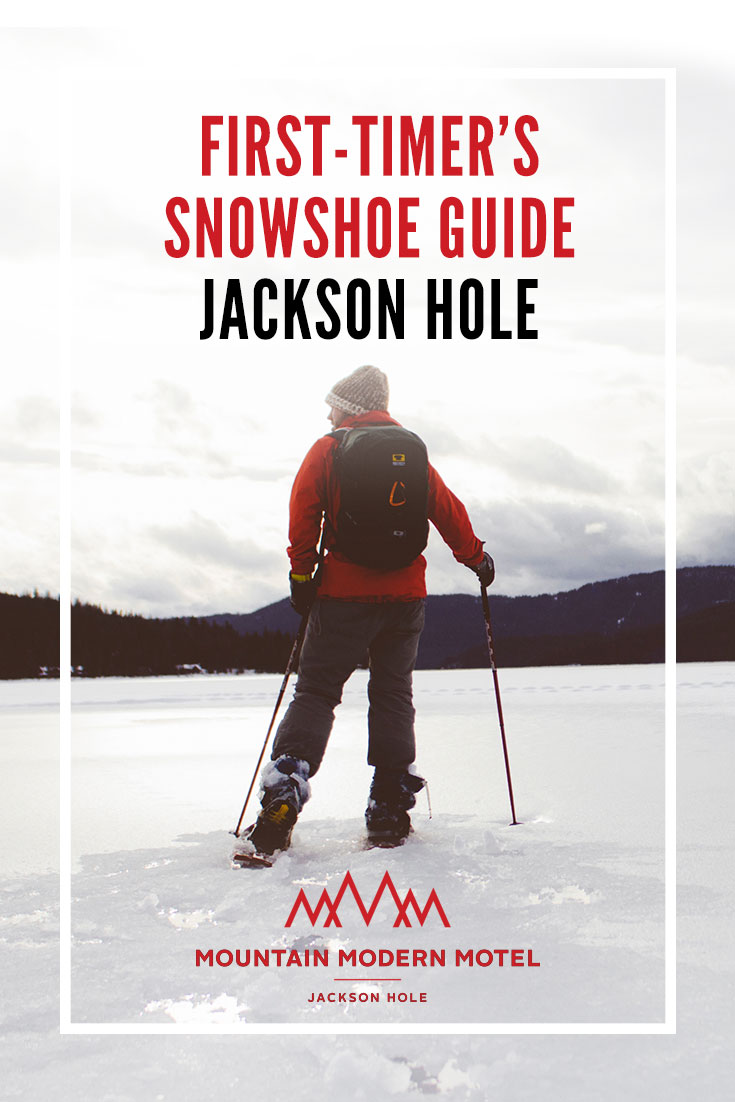 Blog First-Timer's Snowshoe Guide Jackson Hole