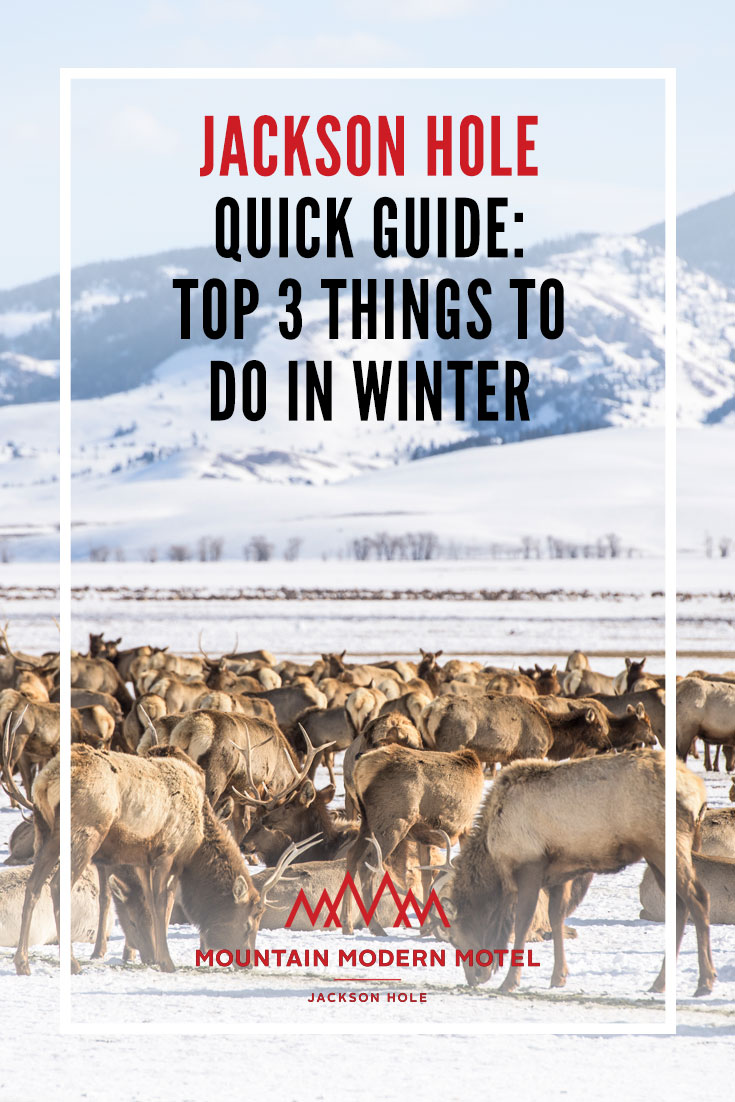 Blog Jackson Hole Quick Guide: Top 3 Things to do in Winter