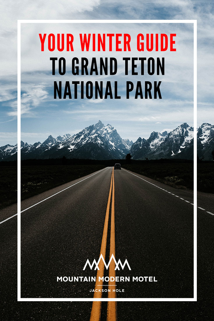 Blog Your Winter Guide to Grand Teton National Park