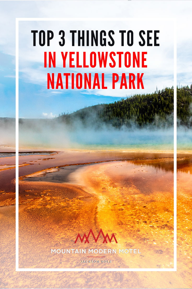 blog Top 3 Must Sees In Yellowstone National Park