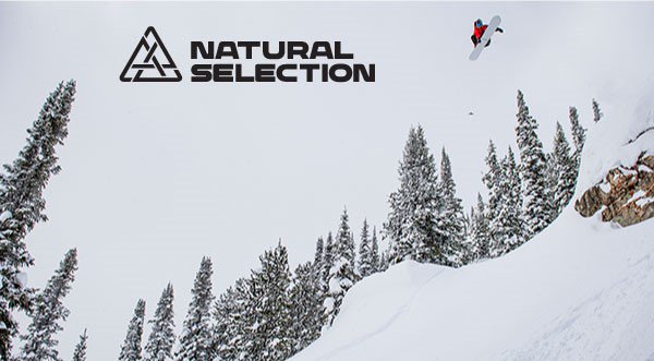 Natural Selection Tour In Jackson Hole