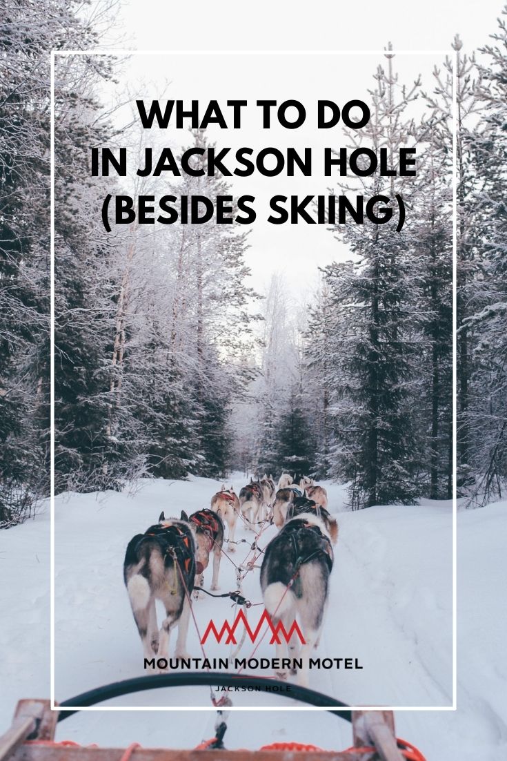 Blog What to do in Jackson Hole (besides skiing)