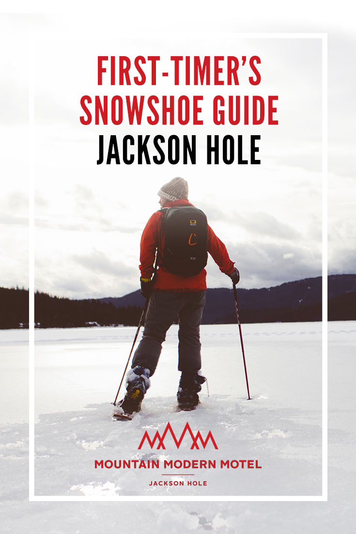 Snowshoeing in Jackson Hole: A First Timer's Guide