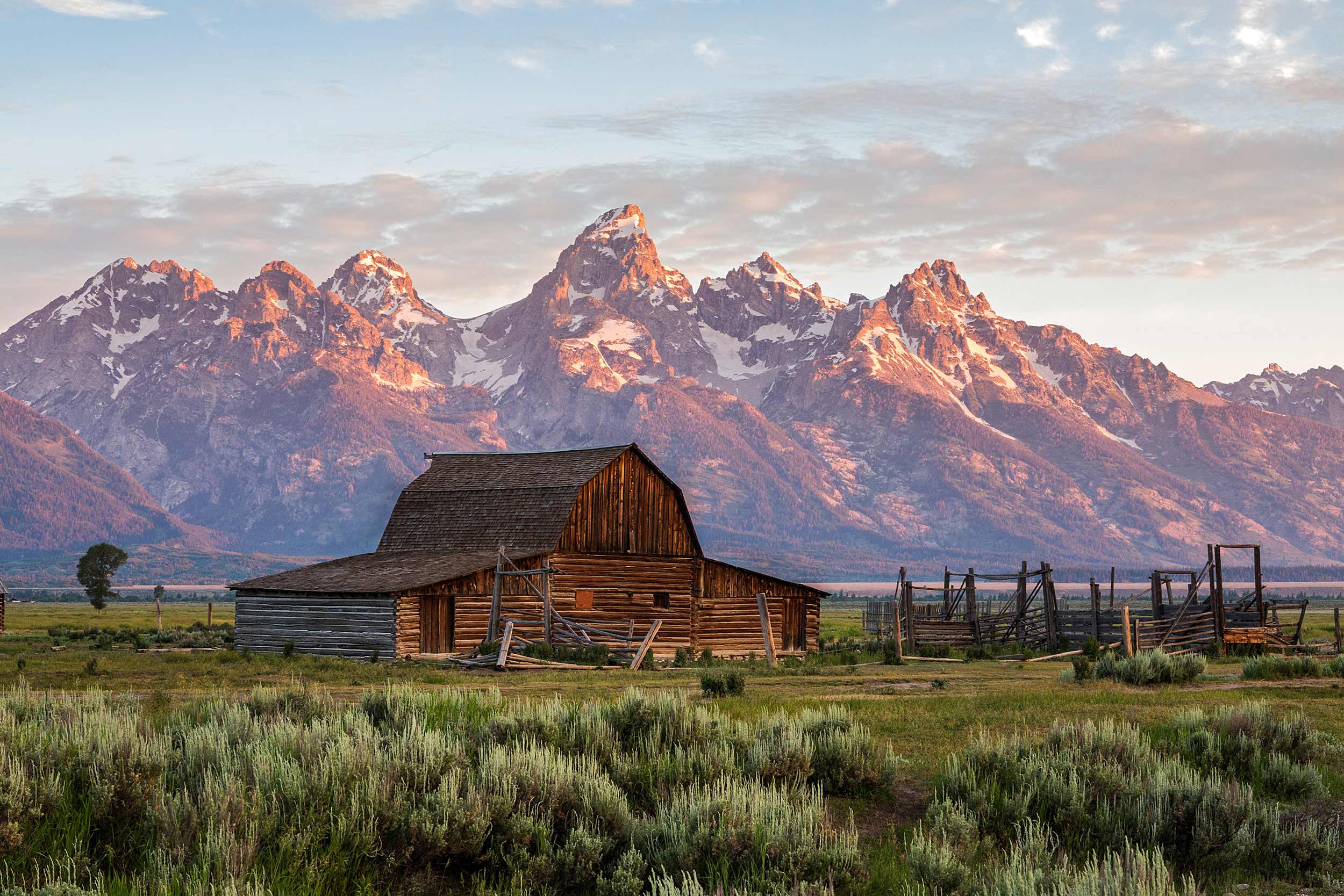 visit yellowstone from jackson hole