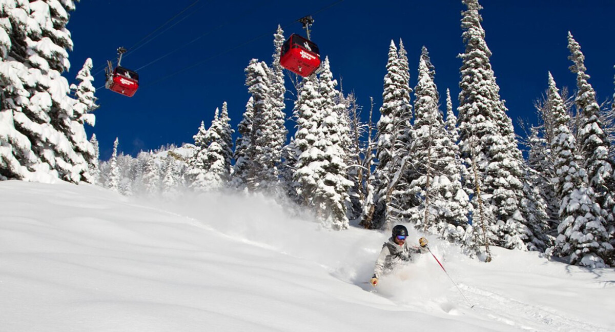 Skier skiing under Jackson Hole Resort ski lifts