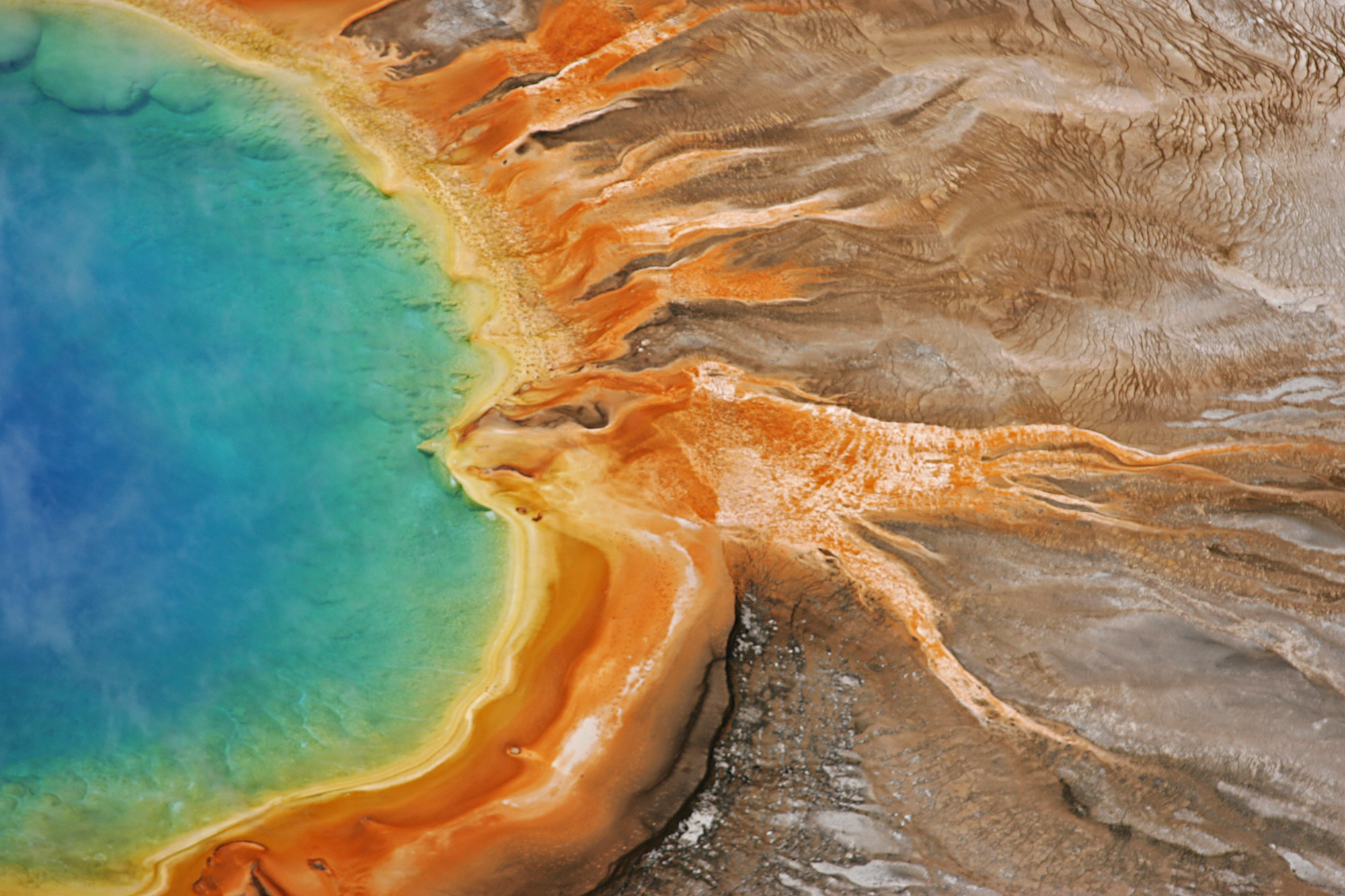 Grand Prismatic Spring Yellowstone