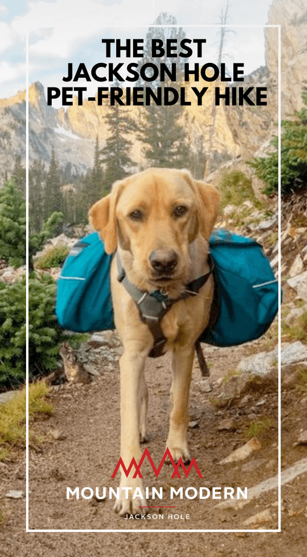 Dog friendly hikes near yellowstone hotsell